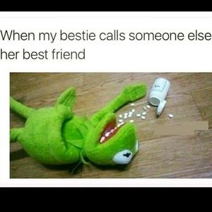 Meet your Posher, Karmen